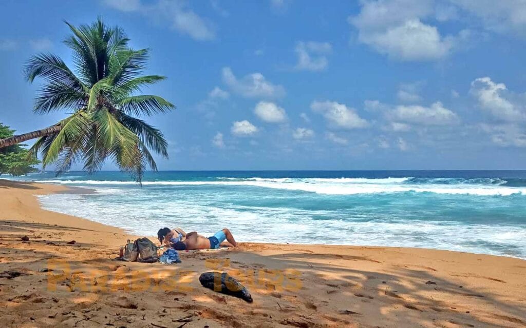 saotome paradise south beaches 011 inhame