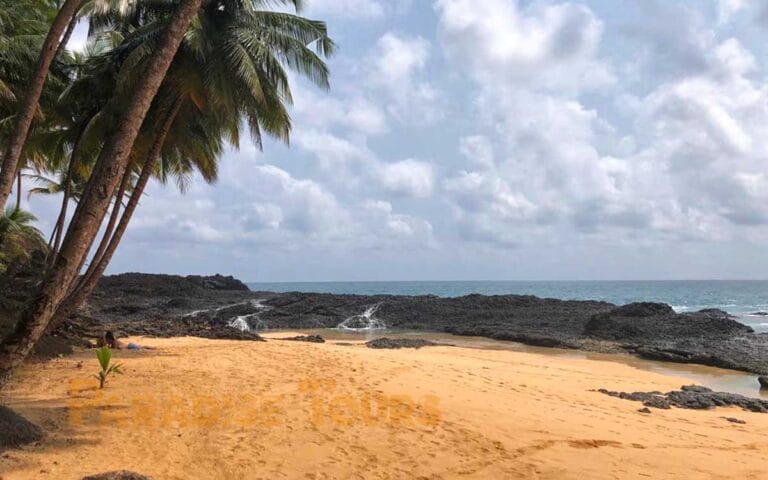 saotome paradise south beaches 013 piscina