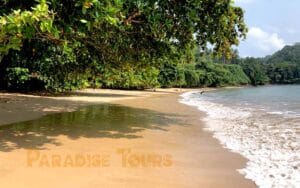 saotome paradise south beaches 014 vanha