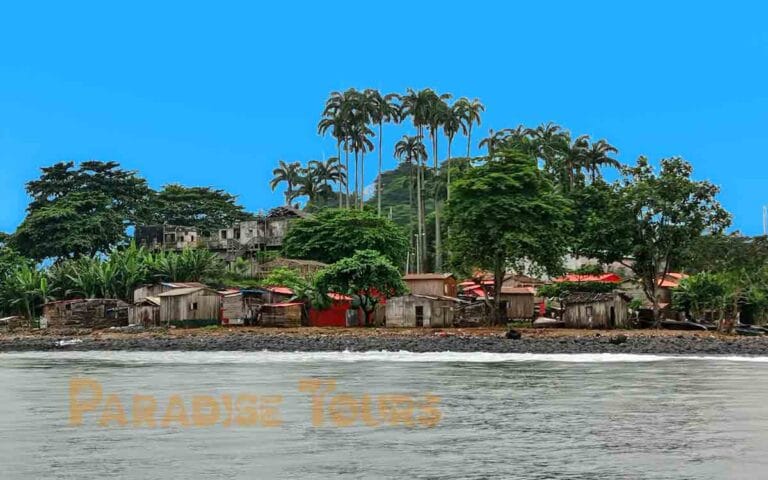 saotome paradise south beaches 016 porto alegre 1