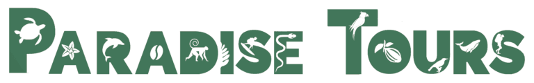 Font name Paradise tours green dark narrow margin