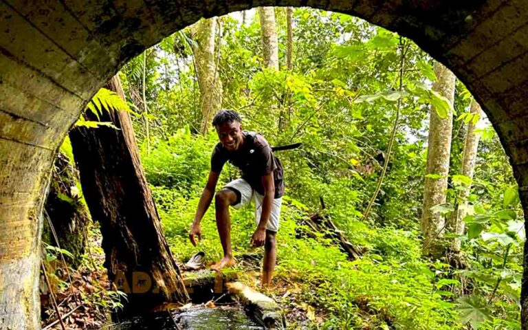saotome-paradise-hike-angolares-waterfall-016 saotome paradise hike angolares waterfall 016