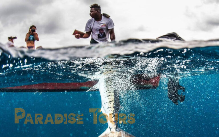 Saotome paradise local fishing game 004 1