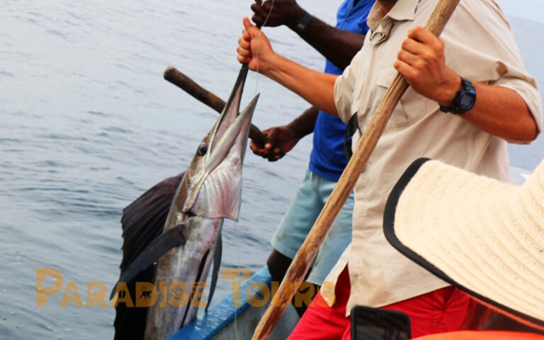 Saotome paradise local fishing game 006 1