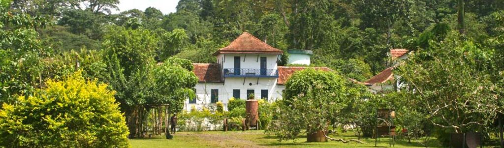 header colonial 02