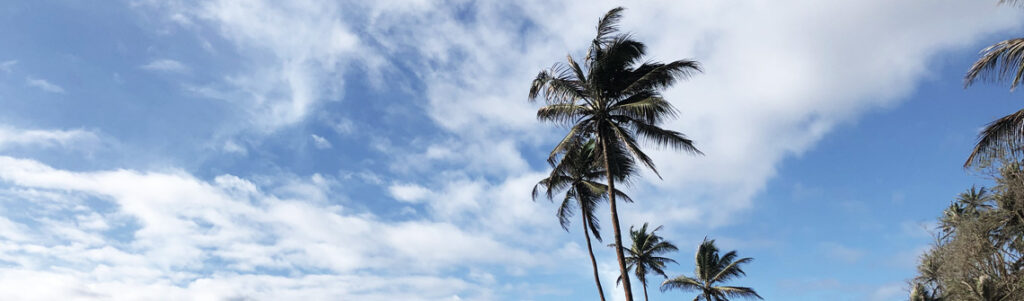 header sky 01