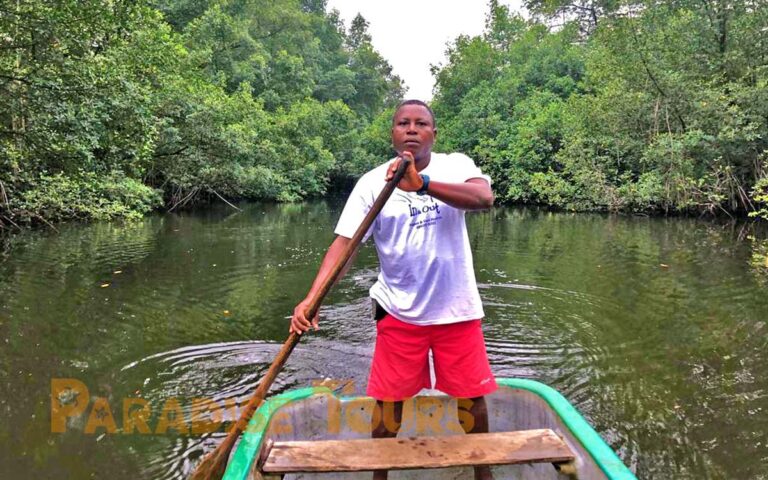 saotome-paradise-mangrove-tour-006 saotome paradise mangrove tour 006