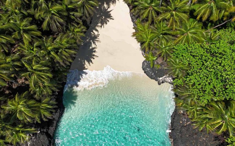 saotome paradise rolas bateria beach