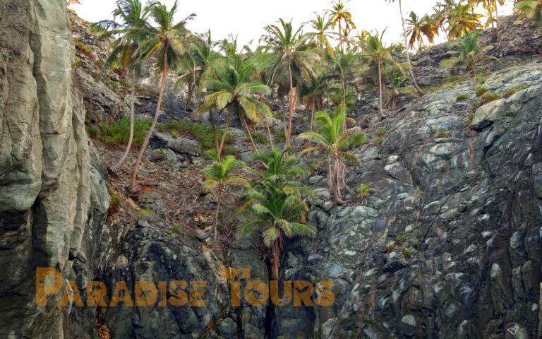 saotome paradise santana islet 018