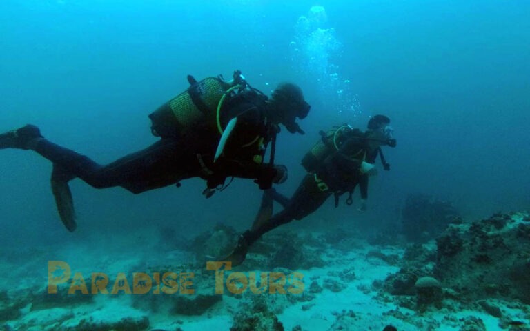 saotome-paradise-scuba-diving-baptism-004 saotome paradise scuba diving baptism 004