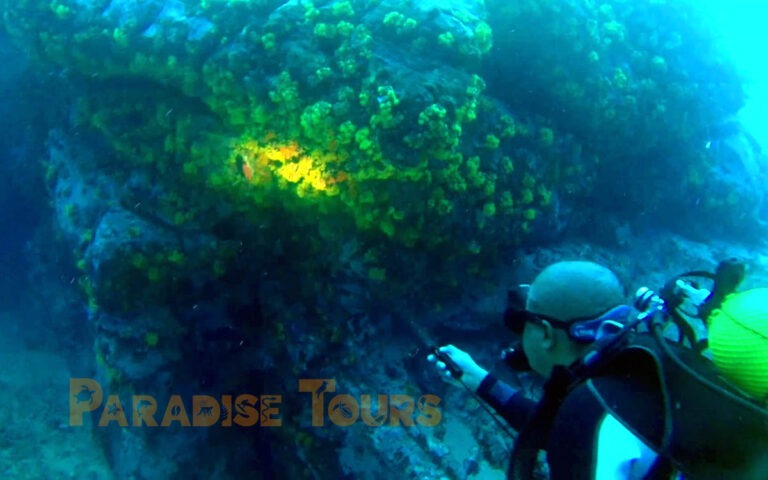 saotome-paradise-scuba-diving-padi-001 saotome paradise scuba diving padi 001
