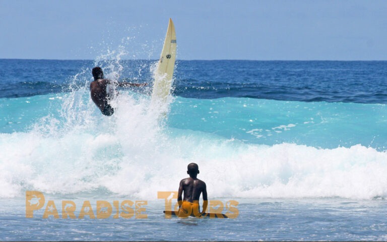 saotome-paradise-surf-004 saotome paradise surf 004
