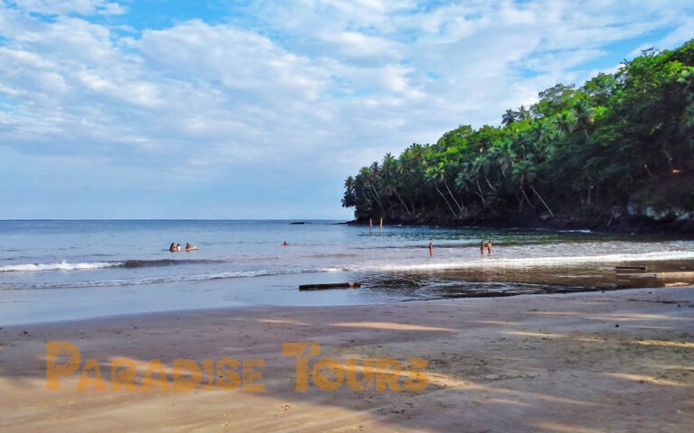 saotome-paradise-surf-006 saotome paradise surf 006