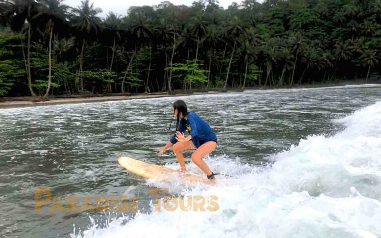 saotome-paradise-surf-022 saotome paradise surf 022