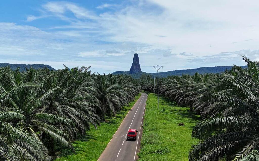 saotome paradise east coast road pico