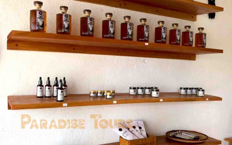 saotome-paradise-atelier-vanilha-004