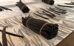 saotome paradise atelier vanilha 010