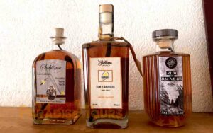 saotome paradise atelier vanilha 011