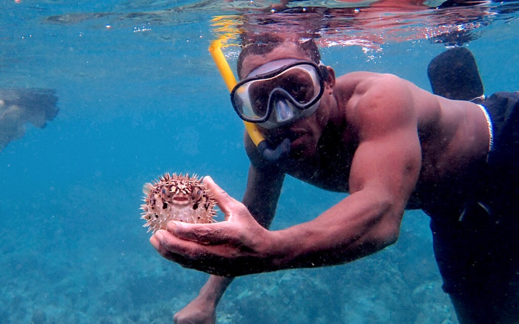 saotome paradise snorkeling coach 008