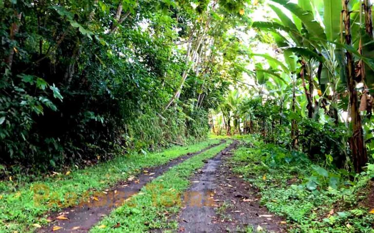 saotome-paradise-5-waterfalls-hike-011 saotome paradise 5 waterfalls hike 011