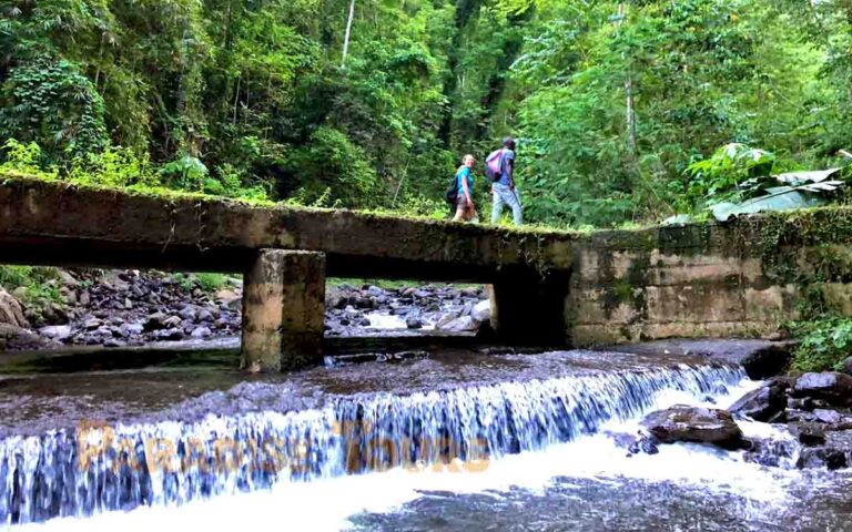 saotome-paradise-5-waterfalls-hike-013 saotome paradise 5 waterfalls hike 013