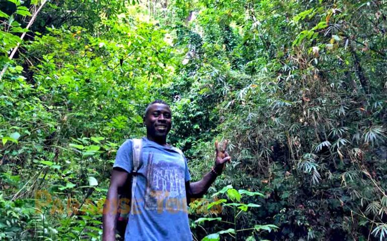 saotome-paradise-5-waterfalls-hike-020 saotome paradise 5 waterfalls hike 020